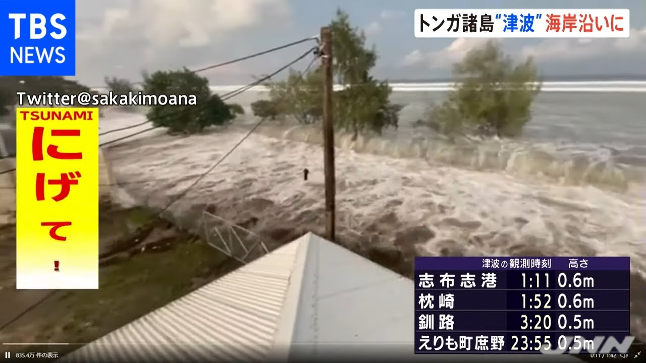 トンガ諸島“津波”海岸沿いに