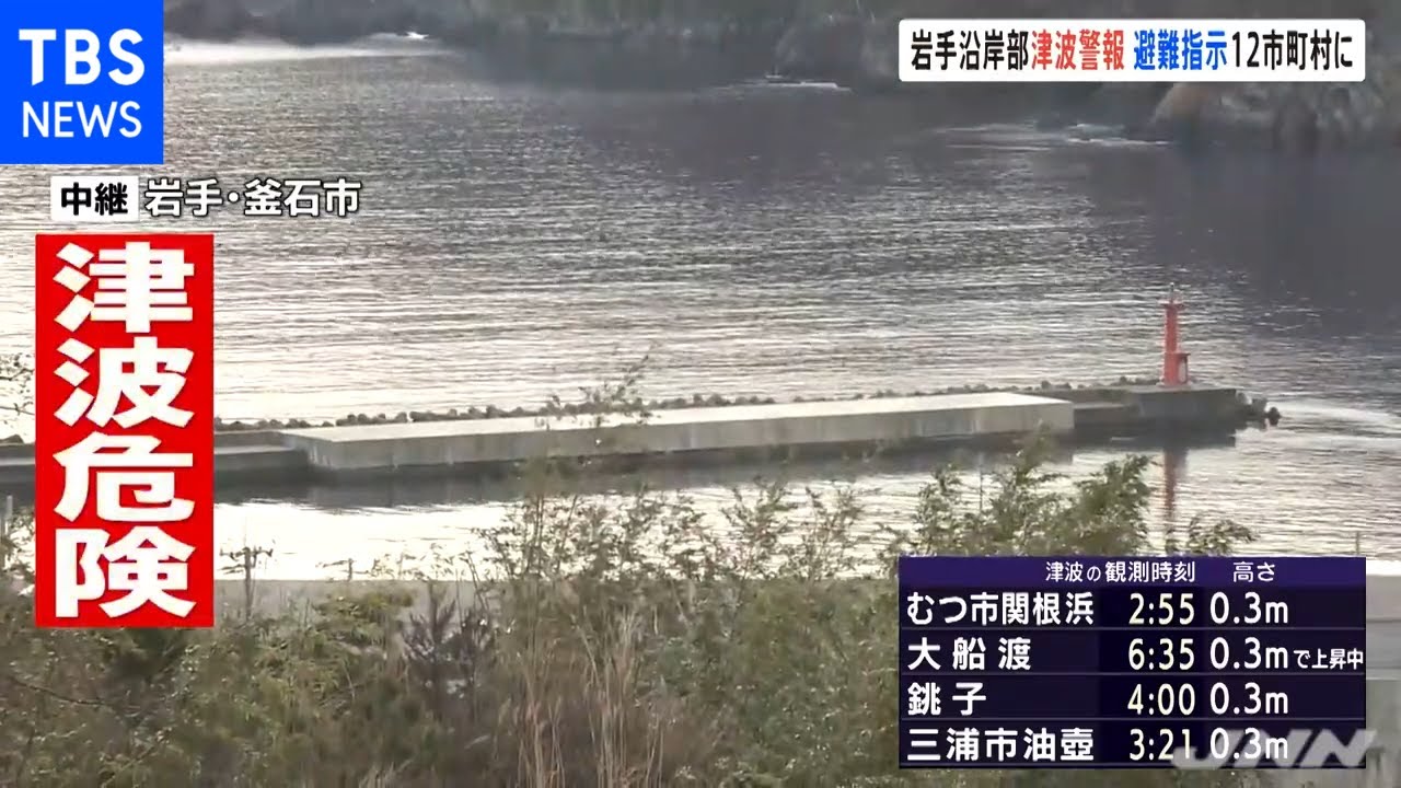 岩手沿岸部に津波警報 避難指示１２市町村に