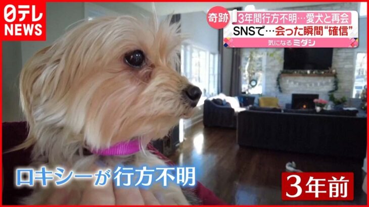 【愛犬と再会】3年間行方不明…会った瞬間に“確信” 奇跡のきっかけは？　アメリカ