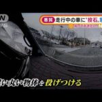 走行中の車に“投石”か・・・自転車の男“悪質”窓破壊(2022年1月17日)