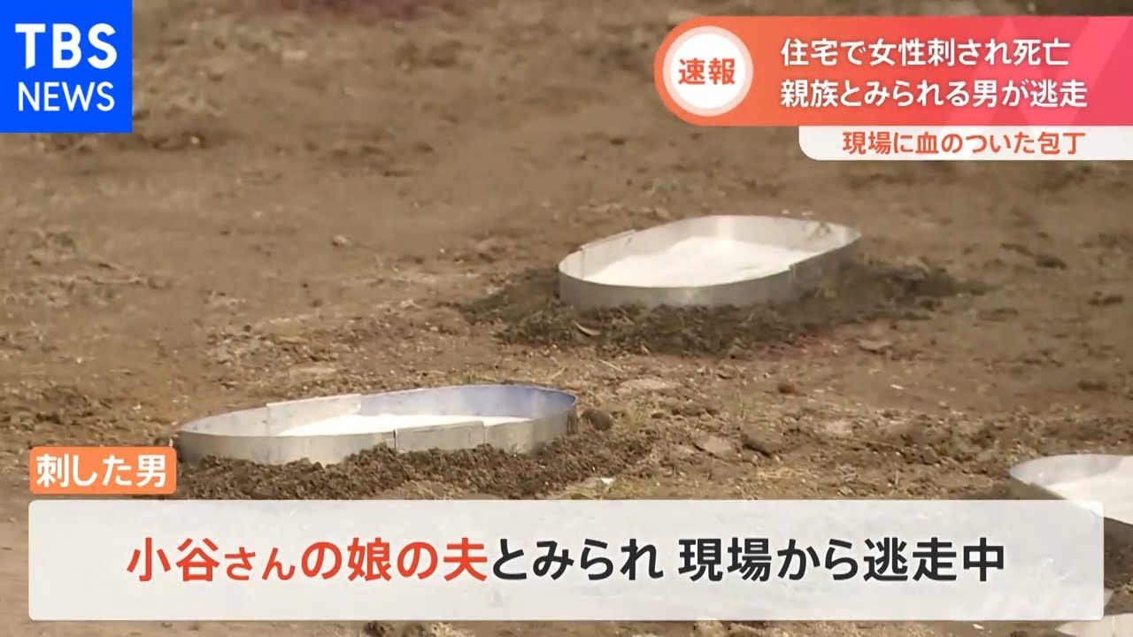 【速報】女性が刃物で切りつけられ死亡 逃走中の男は娘の夫か 茨城・笠間市