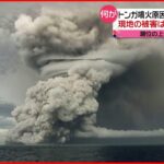 【トンガ】大規模噴火で潮位上昇　日本の漁業にも影響