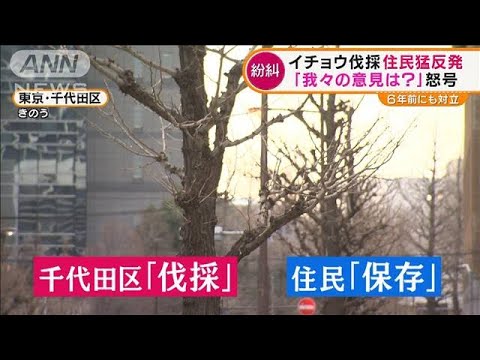 「地元のシンボル」イチョウ伐採　区の計画に住民猛反発・・・説明会で“怒号”(2022年1月18日)