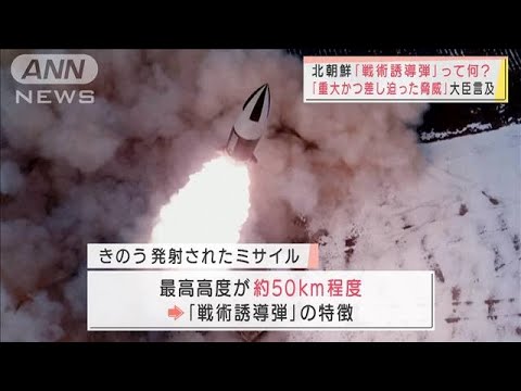 北朝鮮の「戦術誘導弾」って何？　「重大かつ差し迫った脅威」岸防衛大臣が言及(2022年1月18日)