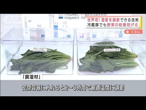 世界初！湿度調節できる技術　冷蔵庫の野菜乾燥防ぐ(2022年1月18日)