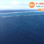 日本最南端・沖ノ鳥島の貴重映像、１６年ぶりの大規模調査に同行