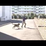 東京電力の変電所でテロ対処訓練 警備犬が犯人制圧