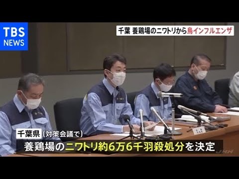 千葉・八街市の養鶏場で鳥インフル 約６万羽殺処分へ