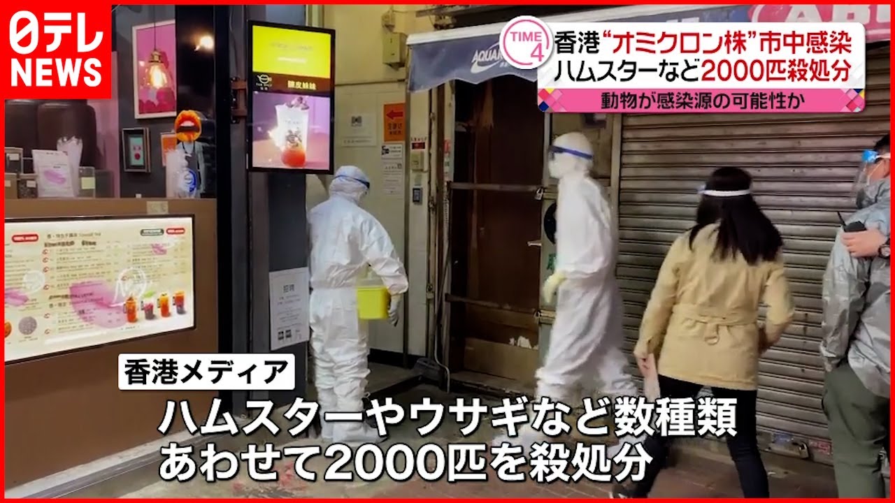 【殺処分】ハムスターなど２０００匹 感染源の可能性　香港