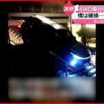 【まさか】車が歩道橋を”走行”… 運転手に罰金 中国