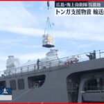 【復興支援へ】輸送艦「おおすみ」トンガ支援物資積み込み