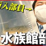 【夢は水族館の飼育員】“さかなクン”から入学祝いも！ ユニークな名門・水族館部に2人の新入部員　愛媛・長浜高校　NNNセレクション