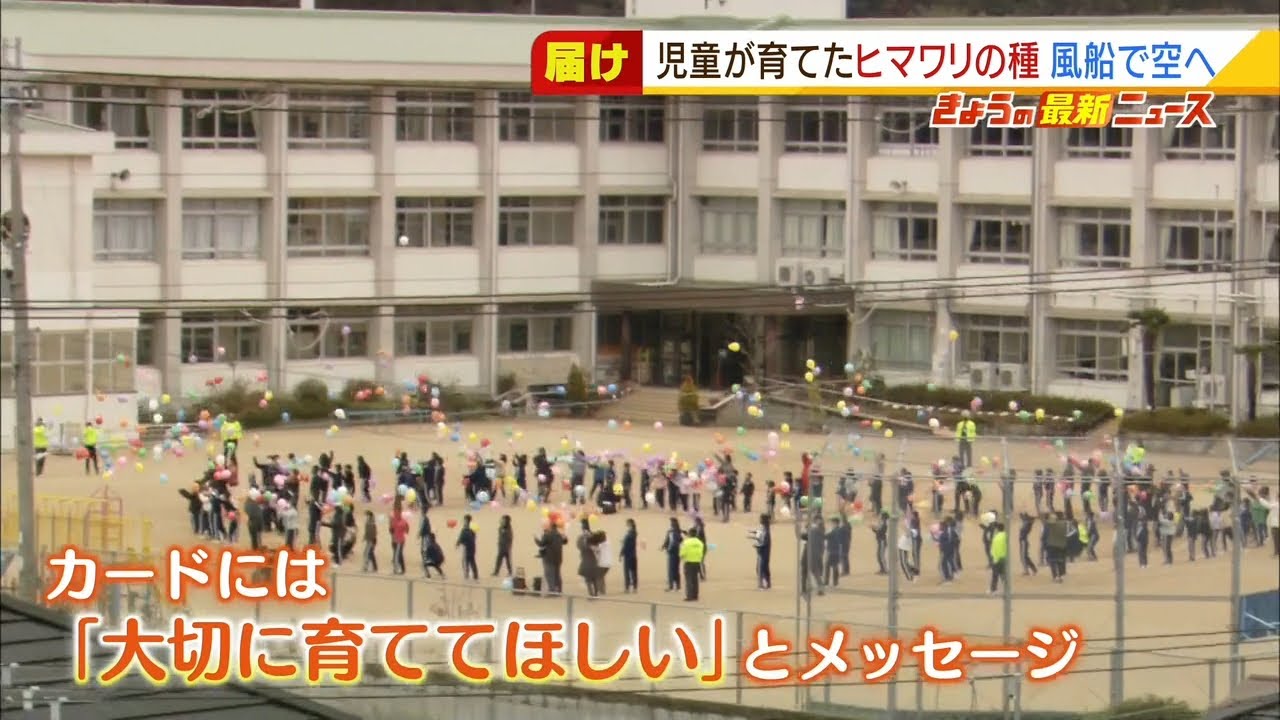 児童たちの想いを“ヒマワリの種”と共に空へ…『夢ふうせん』で出会いつなぐ　兵庫県（2022年1月24日）