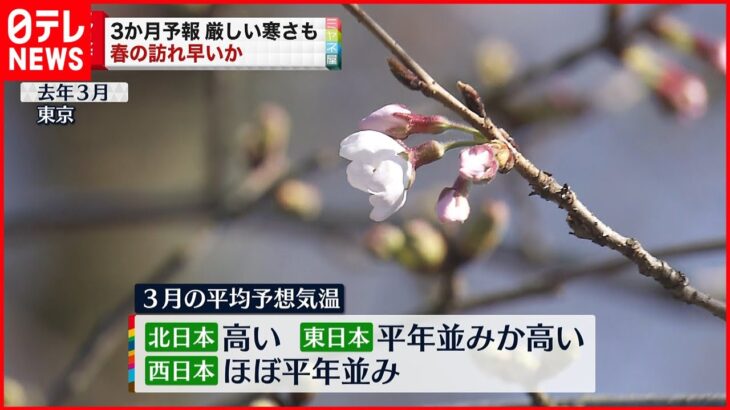 【気象庁予想】「２月までは厳しい寒さ 春の訪れは早い」