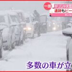 【大雪】“都市機能”に深刻な影響…停電や車の立ち往生など　ギリシャ