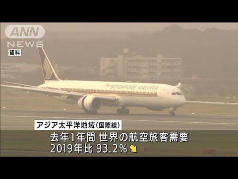 世界の空の旅客需要が激減　各国の渡航制限が足かせ(2022年1月26日)