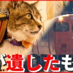 【猫駅長】死から3年…JR芸備線・志和口駅「りょうま」と地域住民との物語　広島　NNNセレクション