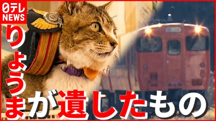 【猫駅長】死から3年…JR芸備線・志和口駅「りょうま」と地域住民との物語　広島　NNNセレクション