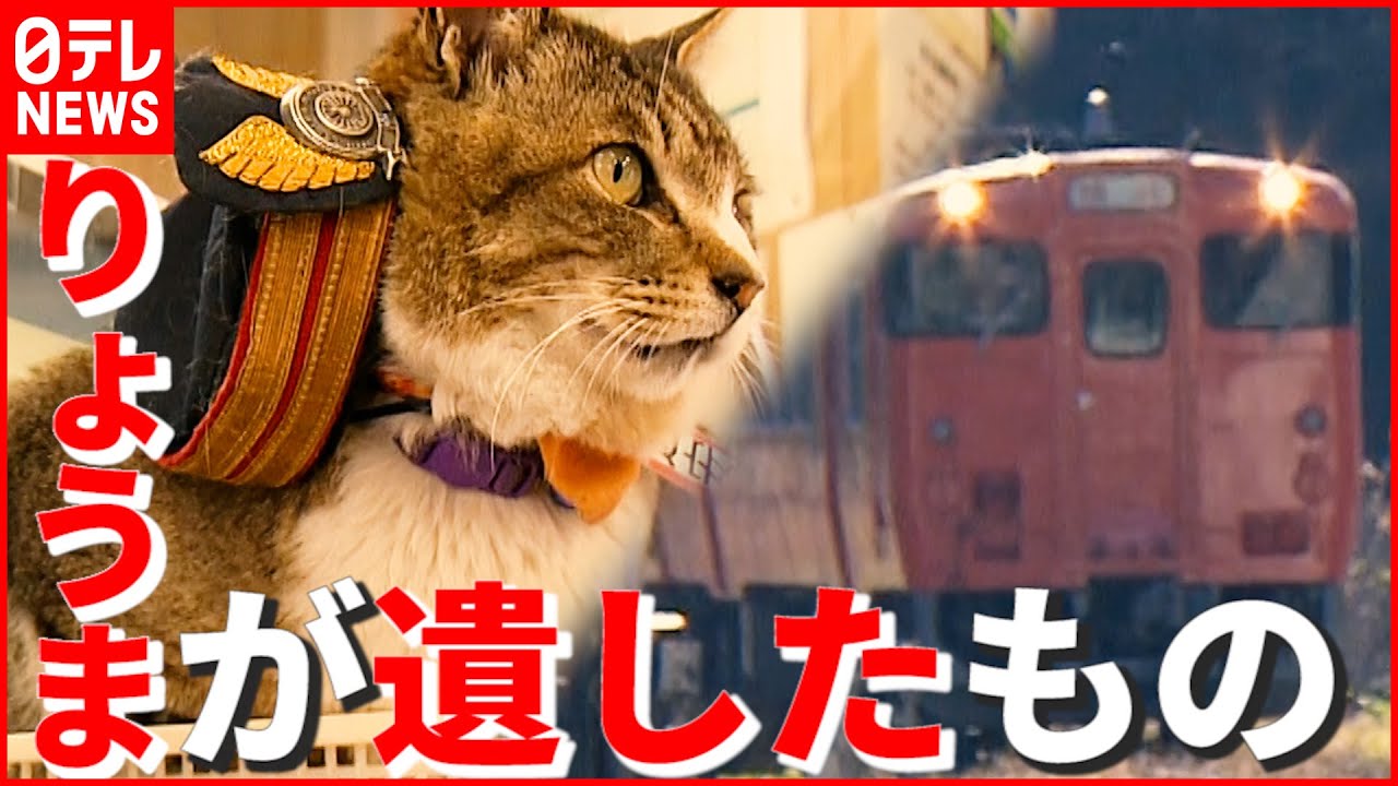 【猫駅長】死から3年…JR芸備線・志和口駅「りょうま」と地域住民との物語　広島　NNNセレクション