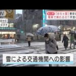 「めちゃ雪」東京4年ぶりの警報　電車で帰れるの？　雪かきは？(2022年1月6日)