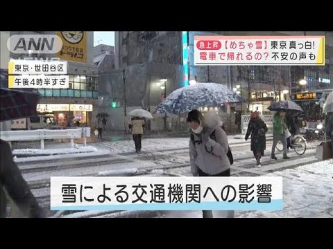 「めちゃ雪」東京4年ぶりの警報　電車で帰れるの？　雪かきは？(2022年1月6日)