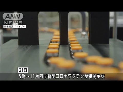 子ども用ワクチン「臨時接種」の方向性は了承も結論先送り(2022年1月26日)