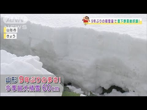 【全国の天気】北陸～北日本　あす夜から再び強雪(2022年1月28日)