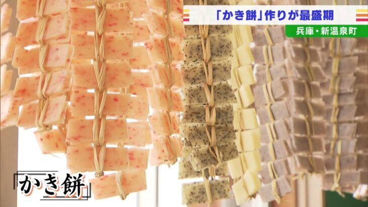色鮮やかなカーテンのよう…伝統の「かき餅」作りが最盛期　今年は約８万枚が全国へ(2022年1月31日)