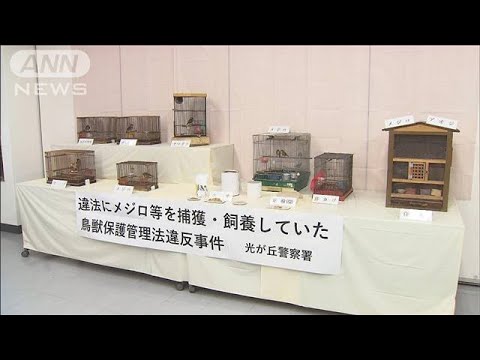 メジロなど自宅で飼育か　警察官が鳴き声聞き発覚(2022年1月31日)