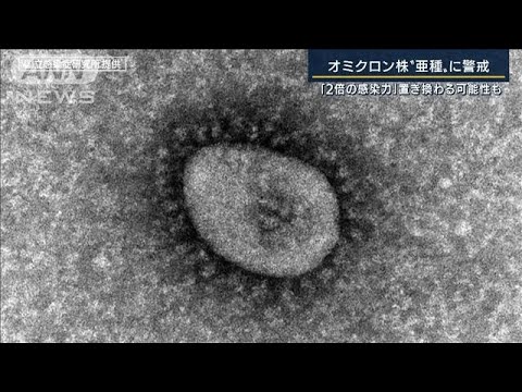 「第6波ピークアウトしないかも」“2倍の感染力”のオミクロン“亜種”とは？(2022年1月24日)