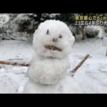 東京都心で6cmの積雪　23区に4年ぶり大雪警報(2022年1月6日)
