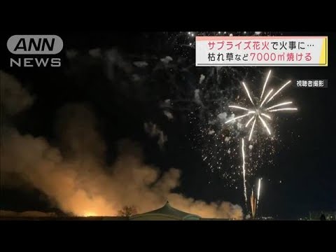 サプライズ花火で火事に・・・枯れ草など7000平米焼ける　打ち上げに問題は？(2022年1月30日)