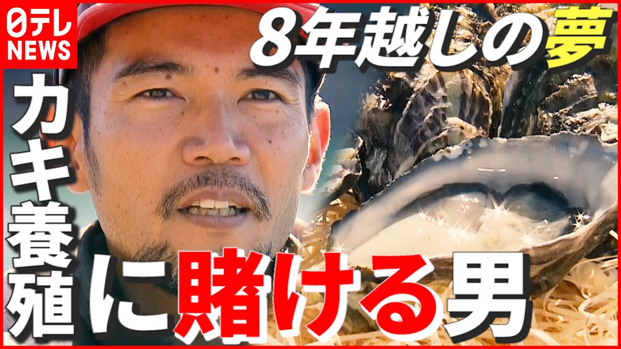 【8年越しの夢】“カキ養殖”で地域の魅力を…「スマート化」や「雇用創出」に乗り出す38歳男性の思い 徳島・海陽町 NNNセレクション