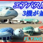 【エアバスA380】初公開！ 3機そろったANAの“空飛ぶウミガメ”お披露目