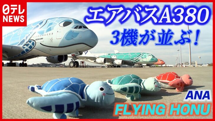 【エアバスA380】初公開！ 3機そろったANAの“空飛ぶウミガメ”お披露目