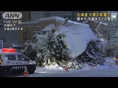 北海道　大雪で倒木や送電が遮断　JRで372本が運休(2022年1月12日)