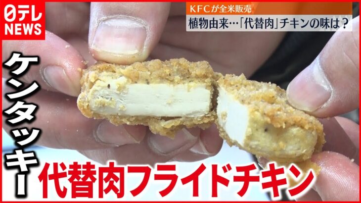 【植物由来】KFC「代替肉」フライドチキン アメリカで発売