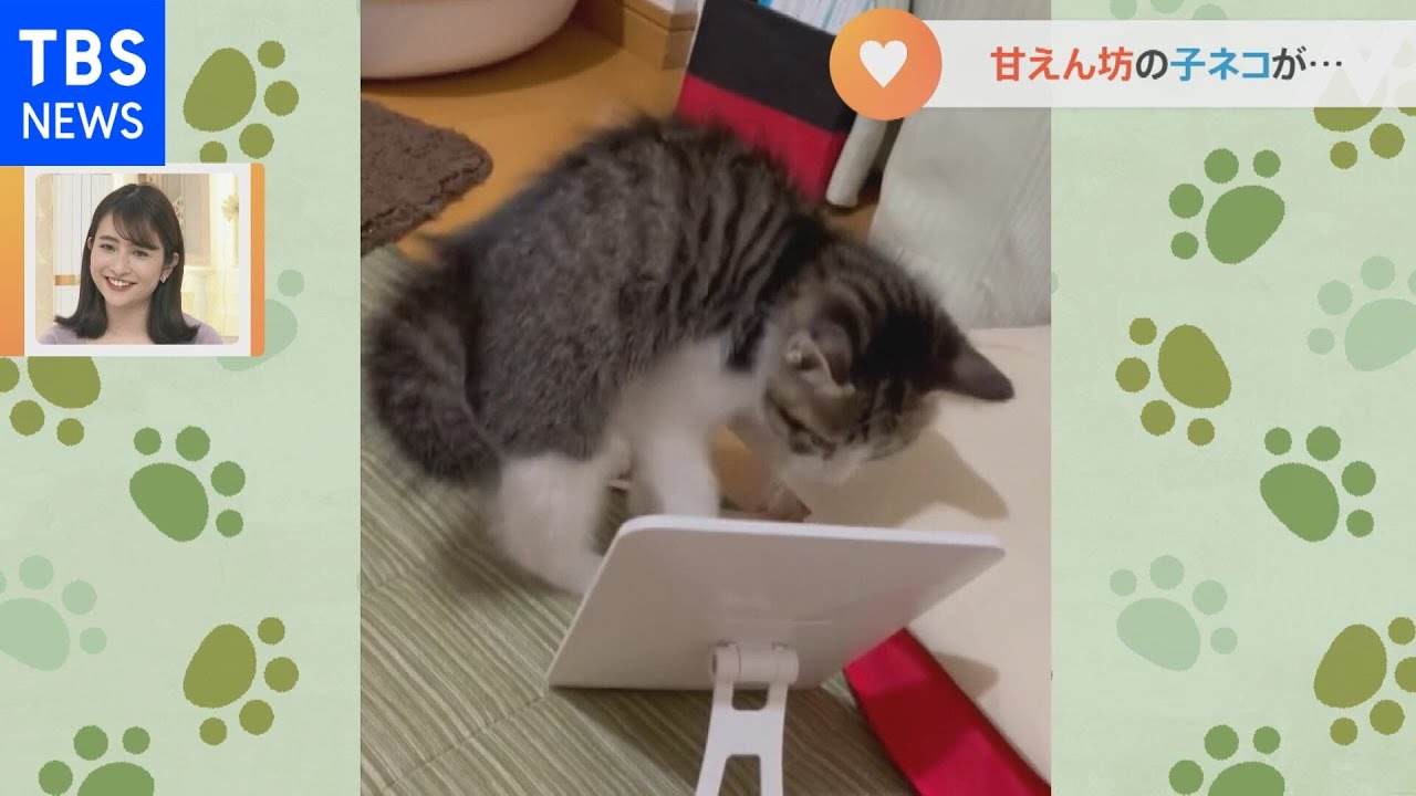 鏡に向かって「やんのかコラ！」【Nスタ】