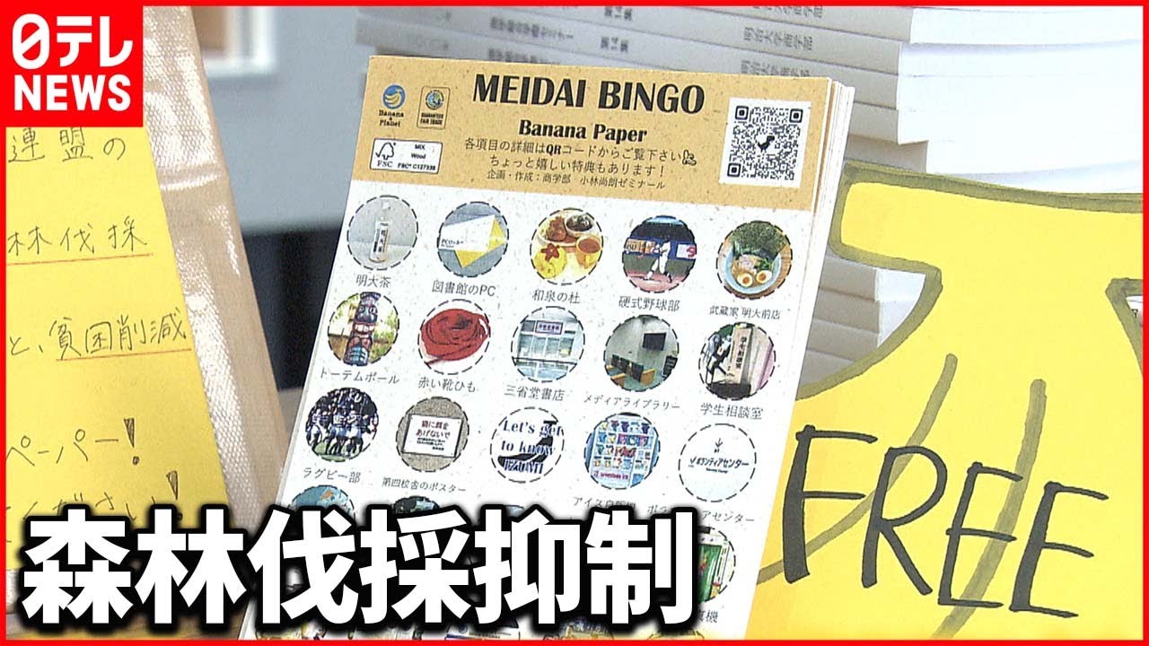 【SDGs】 バナナから作られた「バナナペーパー」