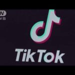 「TikTok」が報酬払い動画紹介をユーザーに依頼　“ステマ”の可能性も(2022年1月24日)