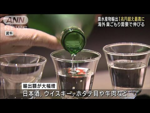 農水産物・食品の輸出が1兆円超　ネット販売好調(2022年2月4日)