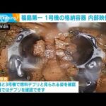 茶色い堆積物の正体は・・・福島第一原発1号機格納容器の内部映像を公開(2022年2月10日)