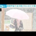 関東で11日の明け方にかけ大雪に警戒　予想降雪量30cmも(2022年2月10日)