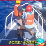 【クジラ救助】150メートル以上のロープがクジラに絡まる ハワイ