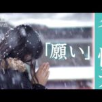 【カメラマン厳選】東京～冬の情景　コロナ禍2度目の冬 東京で見つけた「願い」を撮影(2022年2月26日)