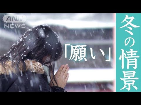 【カメラマン厳選】東京～冬の情景　コロナ禍2度目の冬 東京で見つけた「願い」を撮影(2022年2月26日)