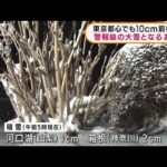 東京都心も積雪予想　関東甲信で警報級の大雪か(2022年2月10日)