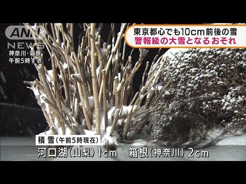 東京都心も積雪予想　関東甲信で警報級の大雪か(2022年2月10日)