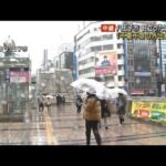 関東の雪　東京・八王子市は目立った混乱なし(2022年2月10日)