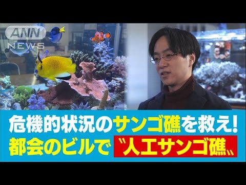 人工サンゴ礁で　海の未来を救う　高倉葉太(2022年2月5日)